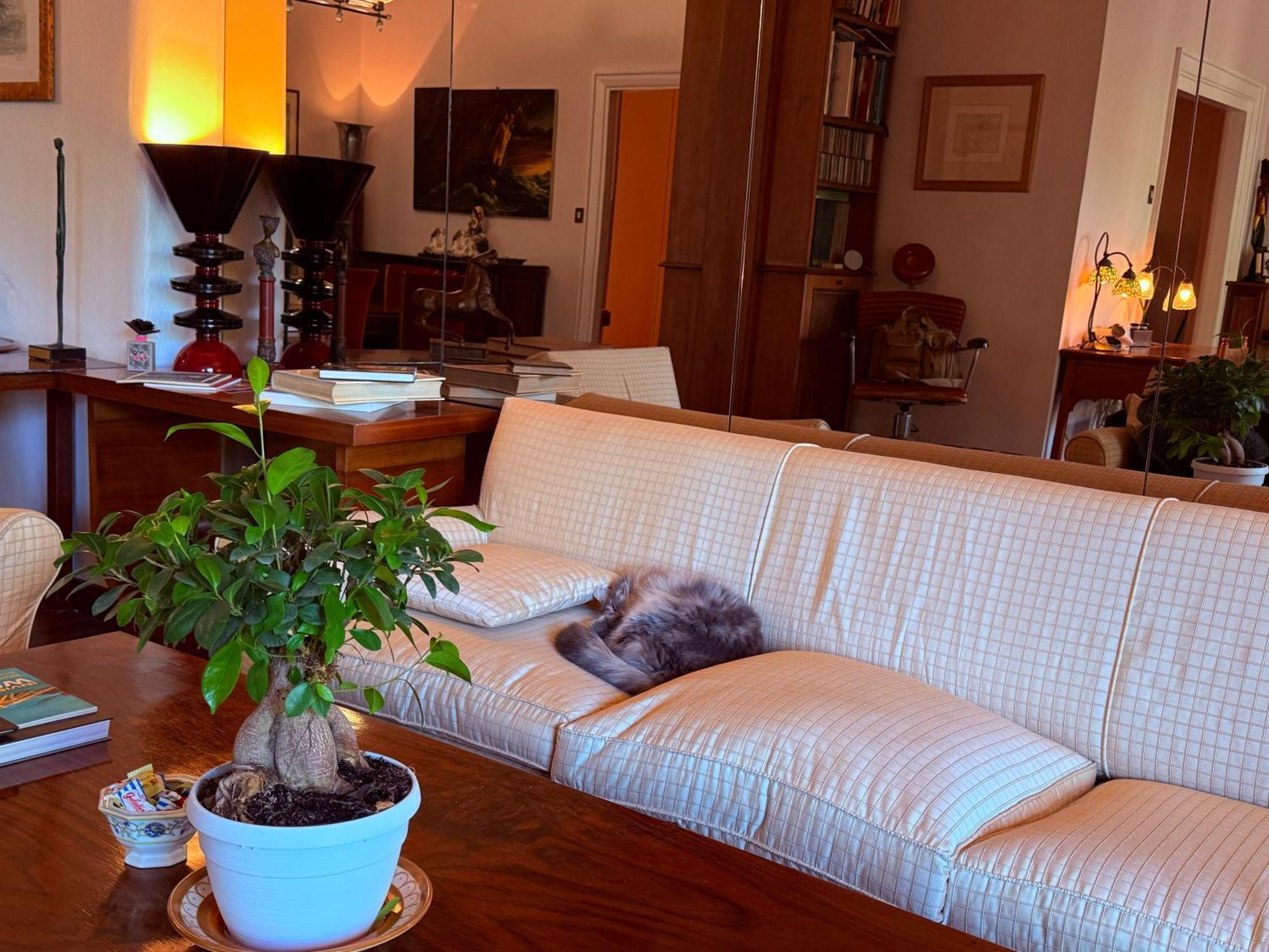 Luxury Museum - - Rai - Stadio Olimpico - Vaticano - Musei Vaticani - Centro - Clodio Homestay Rome